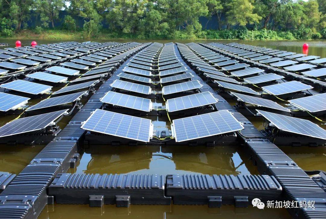 小小的新加坡竟有17個水庫　一個比一個清幽秀麗