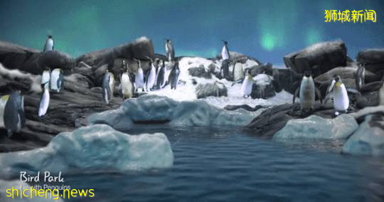 新加坡万礼生态园：与动物同居可敢一试