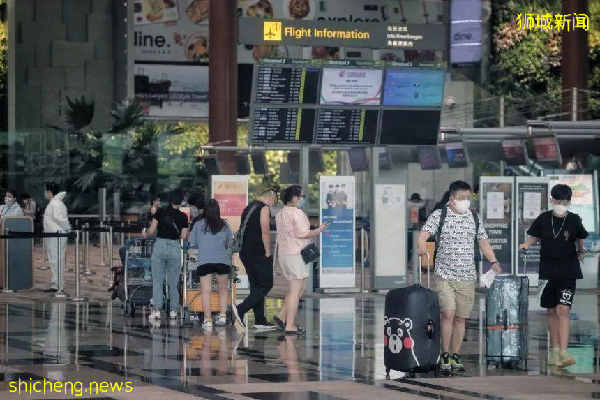 前天输入13例，昨天又250游客抵新！VTL游客确诊后费用谁给