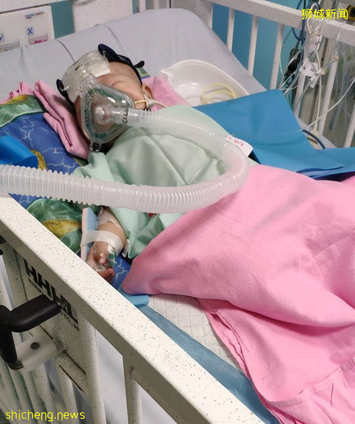 淚目!眼癌、腭裂、呼吸困難……我的寶寶在新加坡剛出生,就開始迎接挑戰