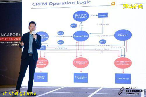 新加坡私人有限公司和新加坡公众担保公司的区别在哪里