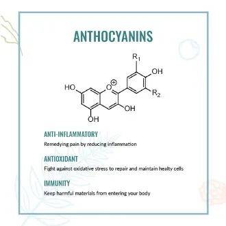 这个新冠变异病毒确诊病例数量,新加坡全球排第五!个人防护如何加码