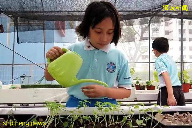 新加坡教育 自然科學讓“愛護環境，從你我做起”真正落實到實處