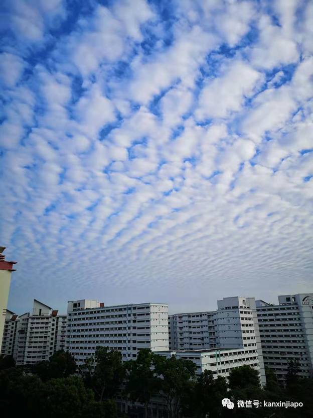 “地震雲”昨早刷爆朋友圈！很少看過這麽“怪異”的朝陽