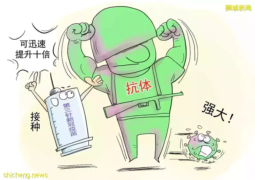 新加坡出现首起本土奥密克戎病例!科兴第三针间隔8个月接种效果最佳