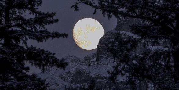 牛车水中秋灯饰标语雷人,作曲家吐槽:新加坡中文系被当作“摆设”吗