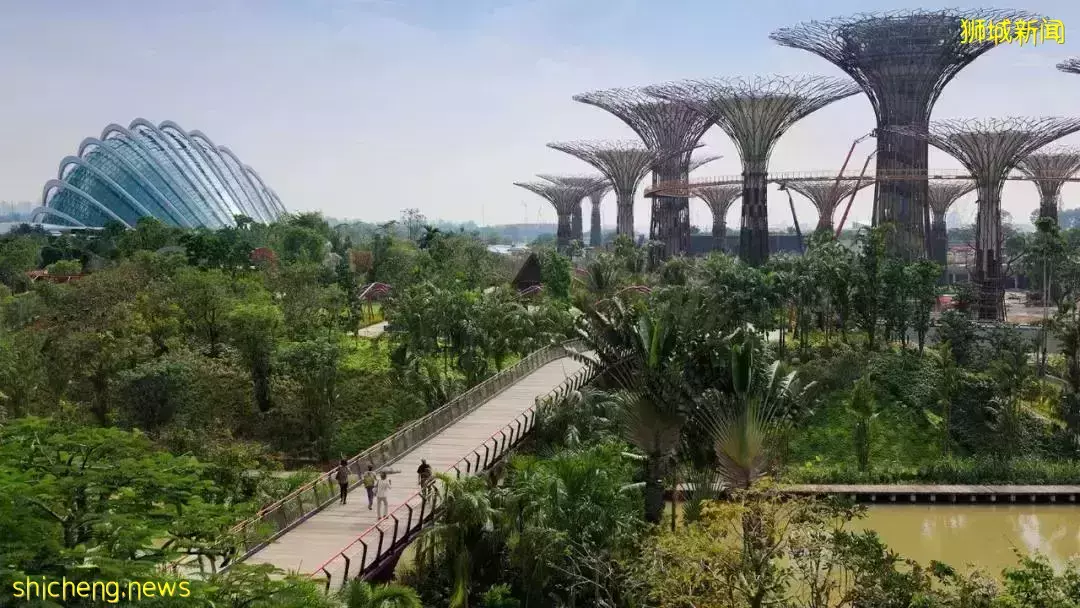 活得不像住在新加坡!新加坡东海岸居住环境的优势