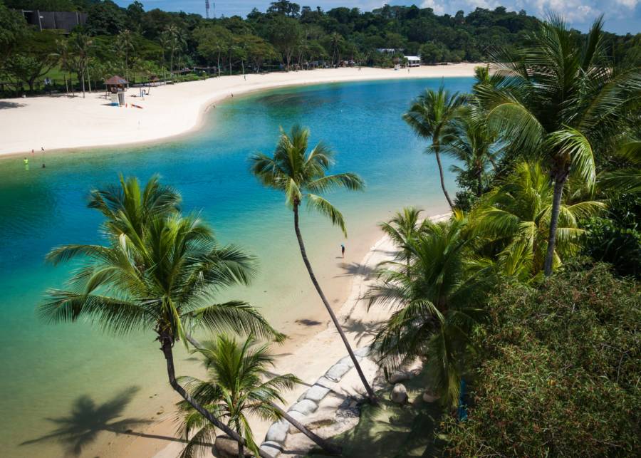 哈哈哈！在新加坡養娃到底有多輕松