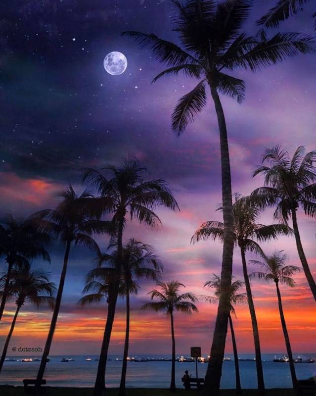 玩轉新加坡!東海岸8大玩法🌤 騎行、慢跑、沖浪、野餐,跟著清單這樣耍就對了