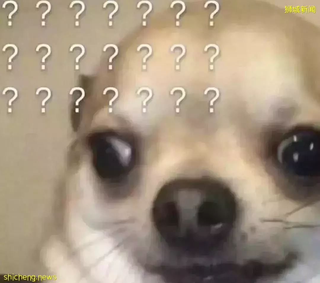 "在新加坡医院做了个小手术,错漏百出,我差点就原地去世了……"