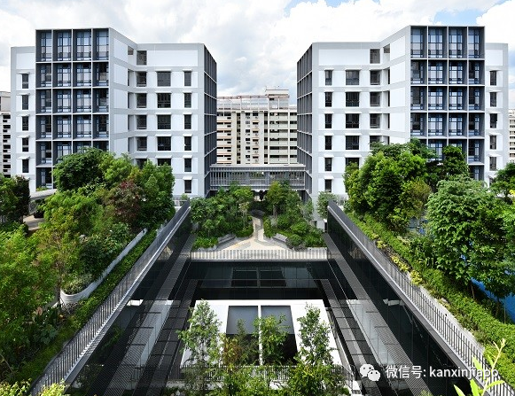 今增XXX | 王瑞杰：冠病拨款额等同过去20年财政盈余，新加坡经济将“大洗牌”