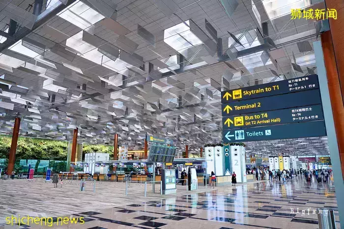 新加坡衛生部：奧密克戎近日或會傳入社區！回國機票飙漲，锺南山透露中國邊境開放時間