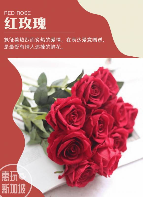 在新加坡过上精致美好的生活,只需要从一束花开始