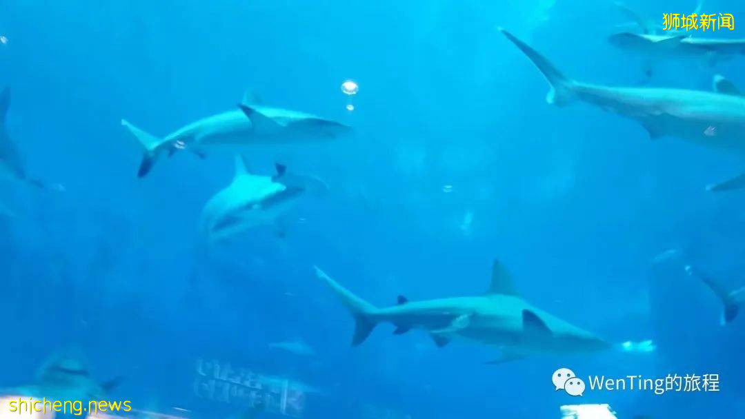 新加坡（4）遊樂園