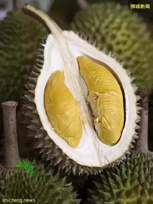 新加坡榴梿季来了啊啊啊!本地人吃榴梿秘籍,这7家最便宜