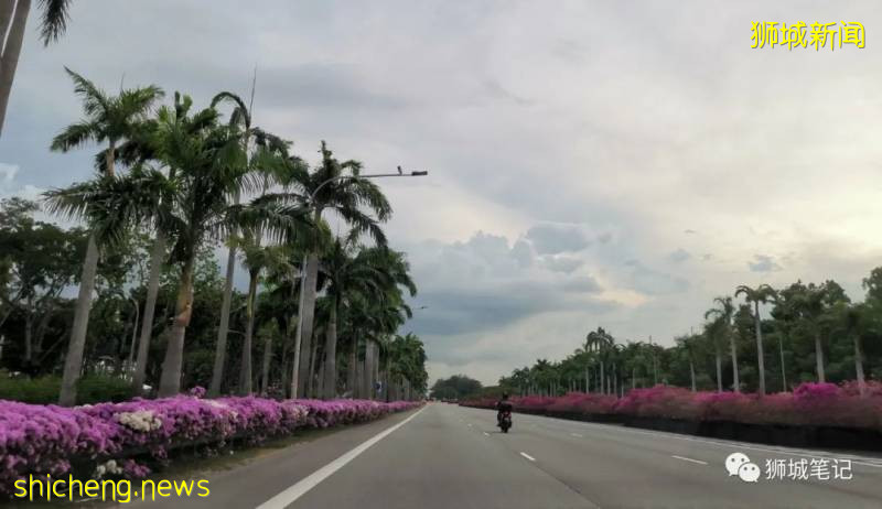 新加坡封城筆記:口罩的故事