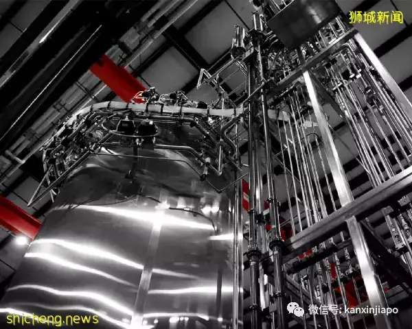 美国投资新加坡建亚洲最大培植鸡肉工厂，下一步计划进军中国