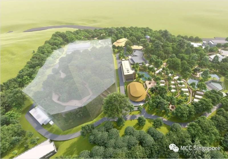 谁是中冶新加坡?(一)