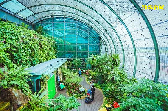 2020世界十佳機場亞洲攬8席 新加坡機場連續8年奪冠