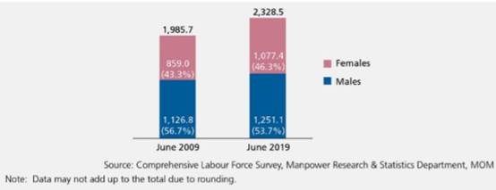 男女平等？新加坡重拳出擊