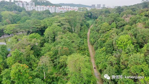 昨天小長假人山人海，武吉知馬老鐵路成新景點！前生今世大揭秘