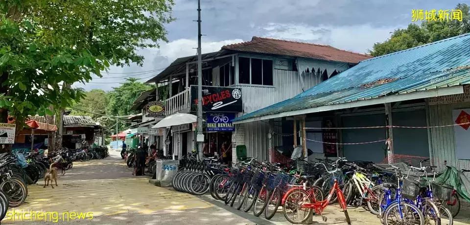 榴梿、野豬、猴子、各種魚蟹……體驗“新加坡最後的農村”