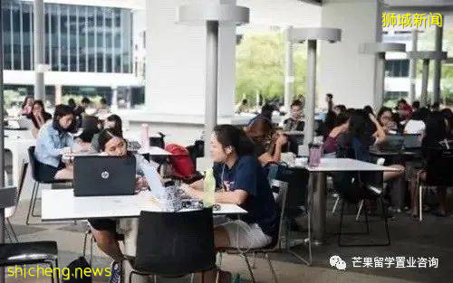 新加坡理工學院，到底是不是“大專”