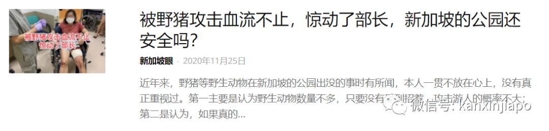 野猪夜闯组屋区紧咬女子腿拖1米后逃跑,目前全城抓捕中