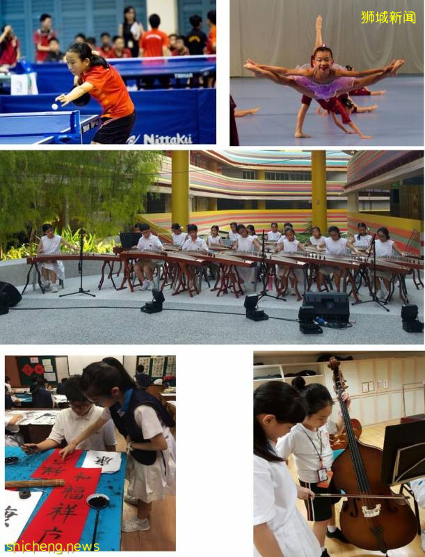 爲什麽選擇去新加坡讀小學!