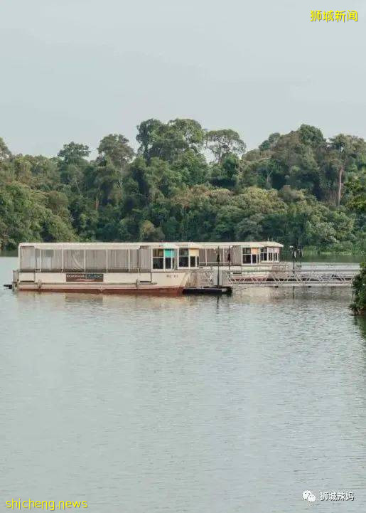 僅2天！新加坡動物園最牛的餵動物之旅，8折！還有幻光雨林和4大園5.5折起，搶啦