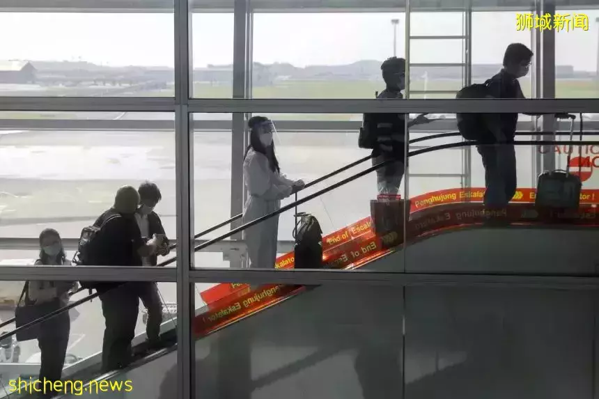 今天生效！入境新加坡有這5個最新規定，准證也受影響！附回中國新政、低價機票