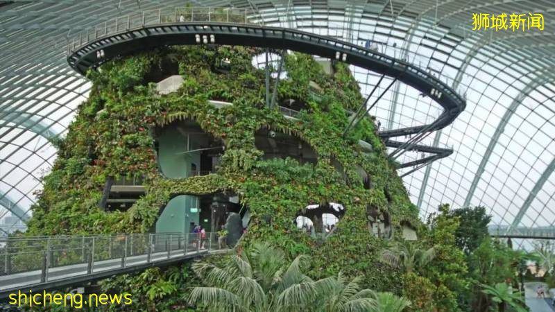 學校假期來了~李顯龍總理親自爲新加坡旅遊打Call，號召國人重新探索新加坡