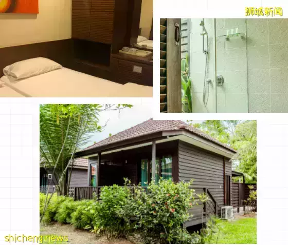 下水抓蛙、摘菜摸鱼、开土摩托……我带娃体验了一把新加坡的农家乐