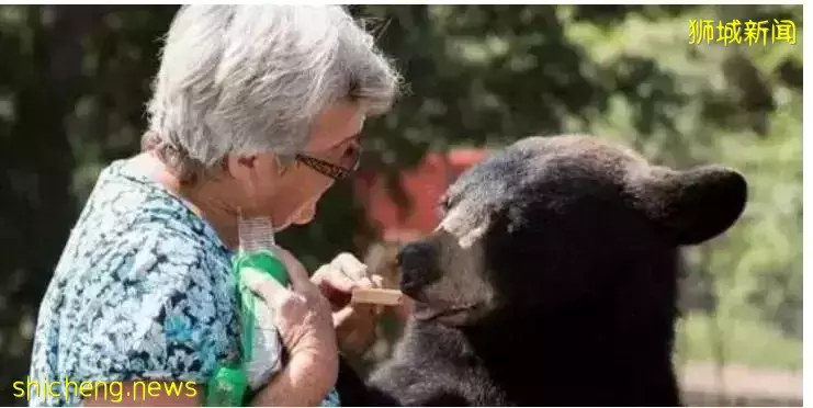新加坡80歲奶奶遭遇“愛情詐騙”,上演“三戲騙子”!姜還是老的辣