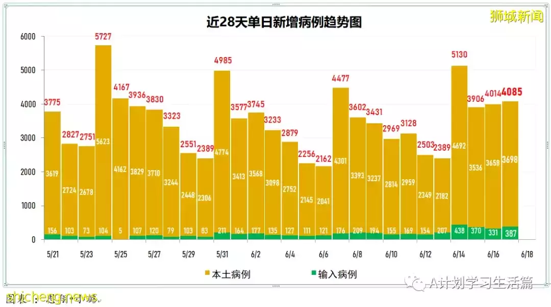 新增3782起,無人病逝;新加坡冠病疫情數據