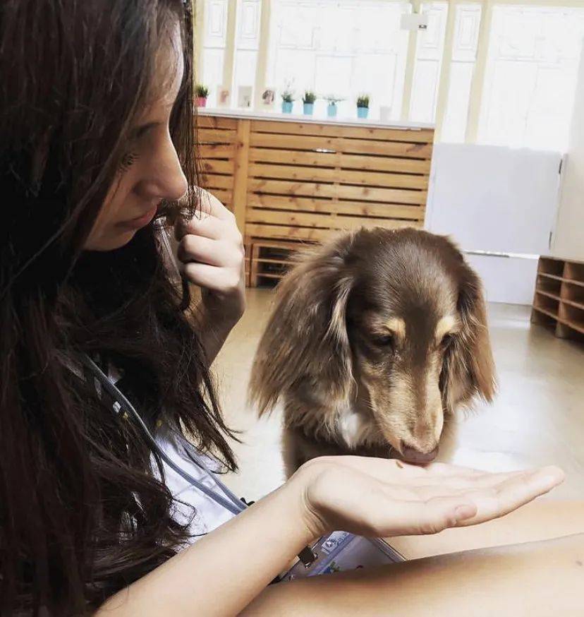 治愈系的它看一眼就愛不釋手！新加坡撸貓撸狗地圖來咯