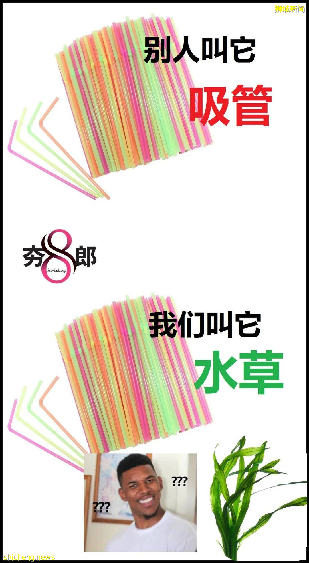 看完新加坡华语入门,我好像不会说华语了