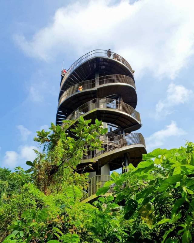 Chestnut Nature Park城市裏的世外桃園🌸 天空之境獨木橋、越野騎行、徒步放松好去處
