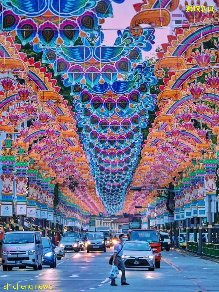 太美了!新加坡小印度亮灯迎接屠妖节