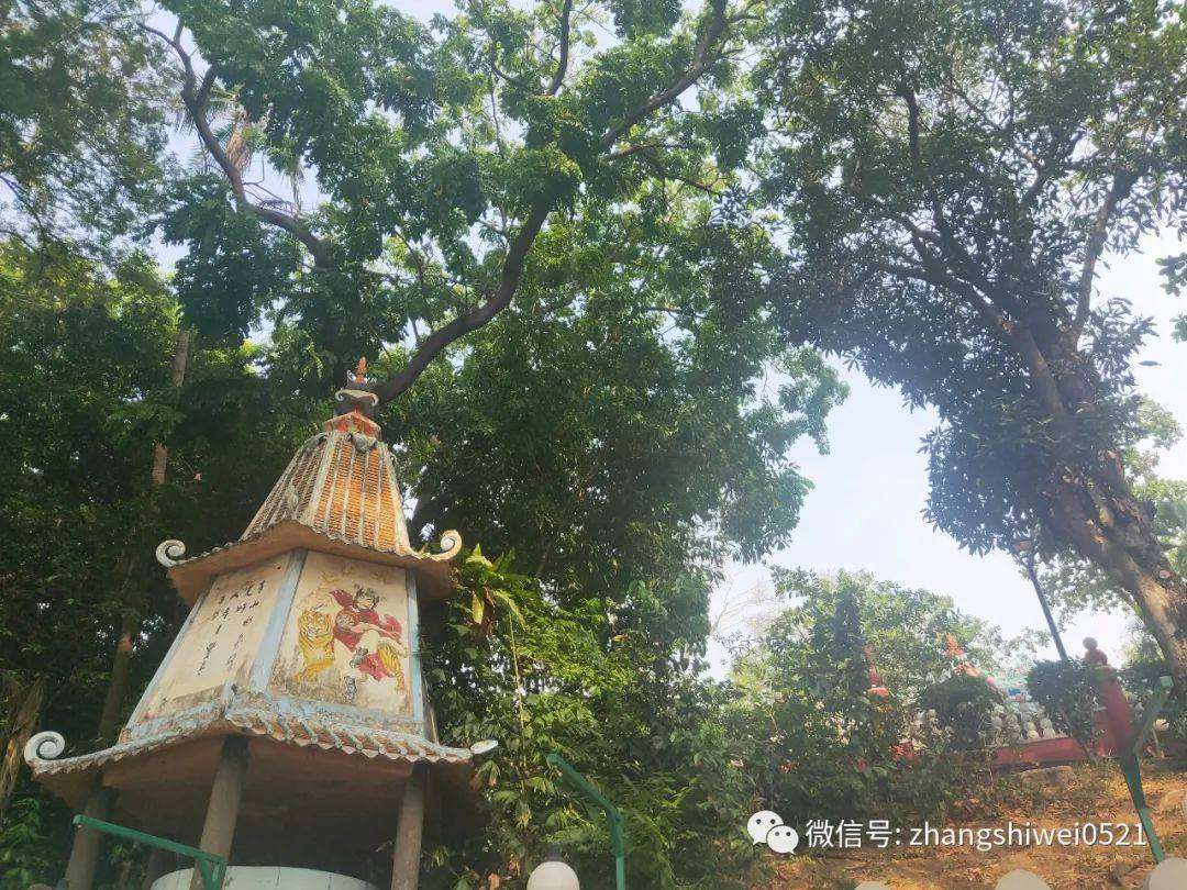 新加坡遊記系列 99%的人都會忽略的有趣景點