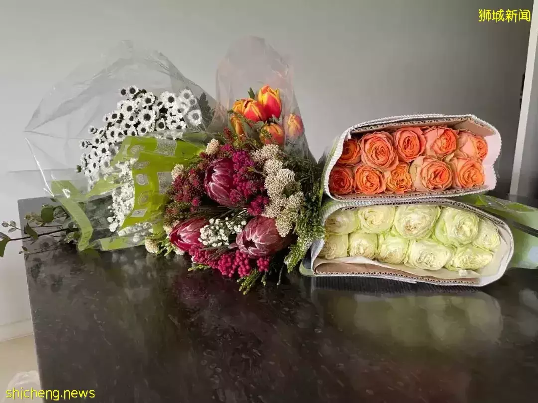 鮮花在熱帶也能養1個月？資深花友新加坡買花、養護大揭秘