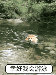 “我刚来新加坡几个月,丈夫就突发脑溢血进了ICU……”