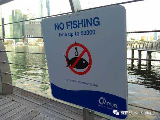 胆大!少年在重要基地垂钓,准备3000新币缴罚金