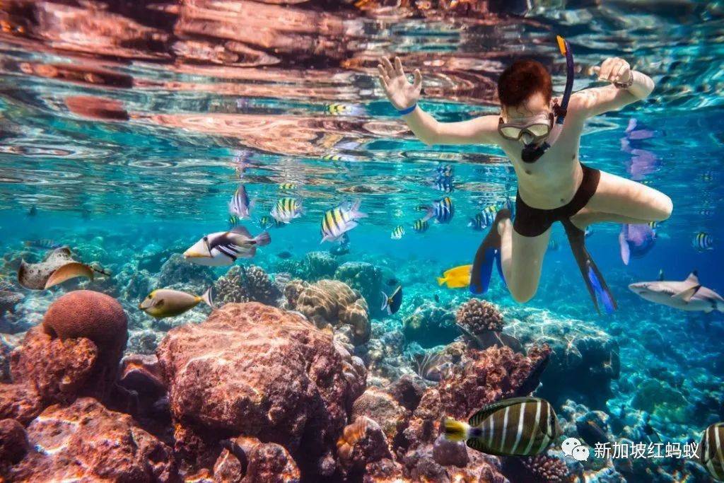 新加坡政府與周邊國家積極洽談“旅遊泡泡”　國人卻不急著飛