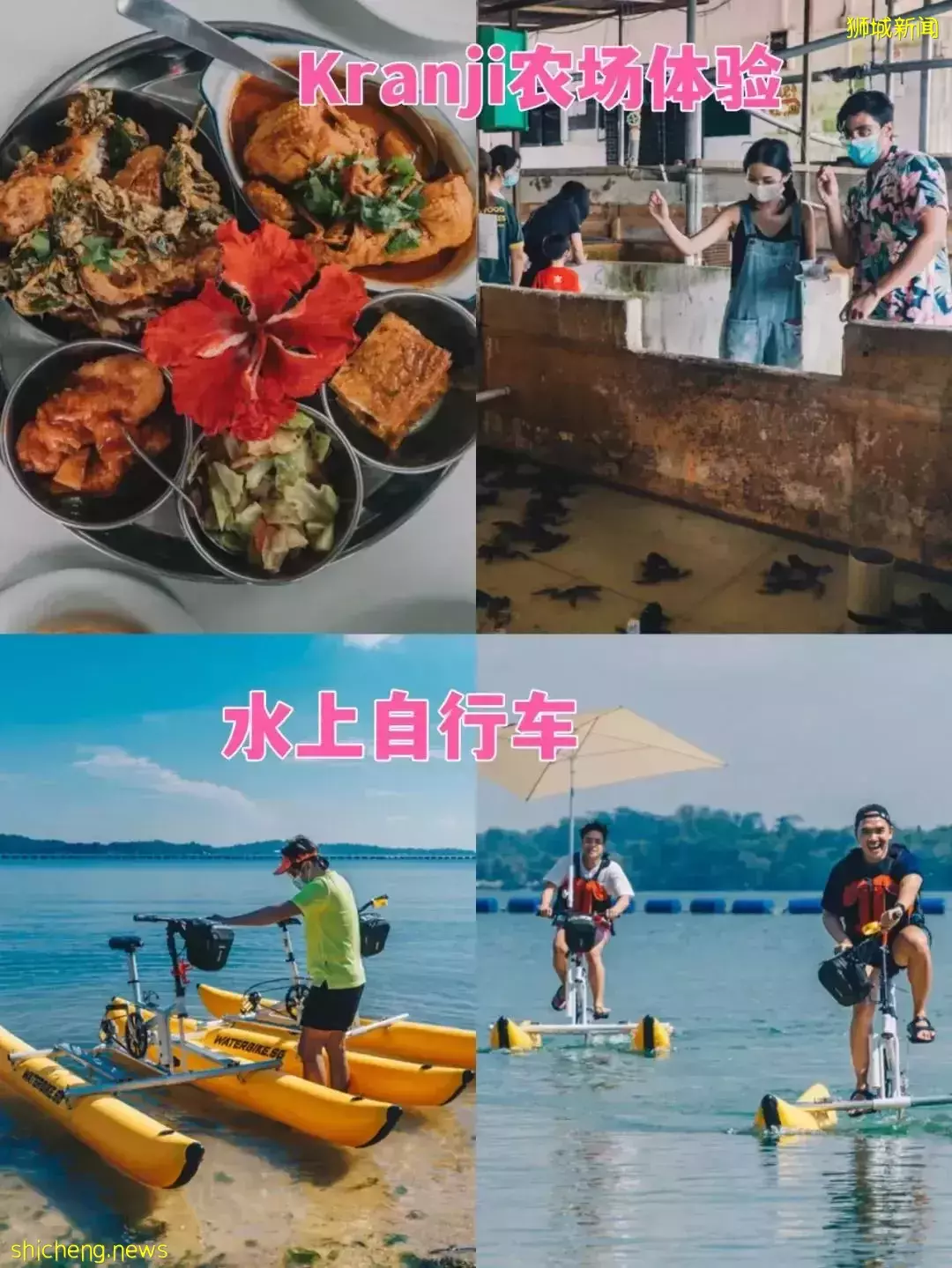 潛水、釣魚、森林浴……新加坡最有趣的10個戶外活動，看到最後一個我心動了