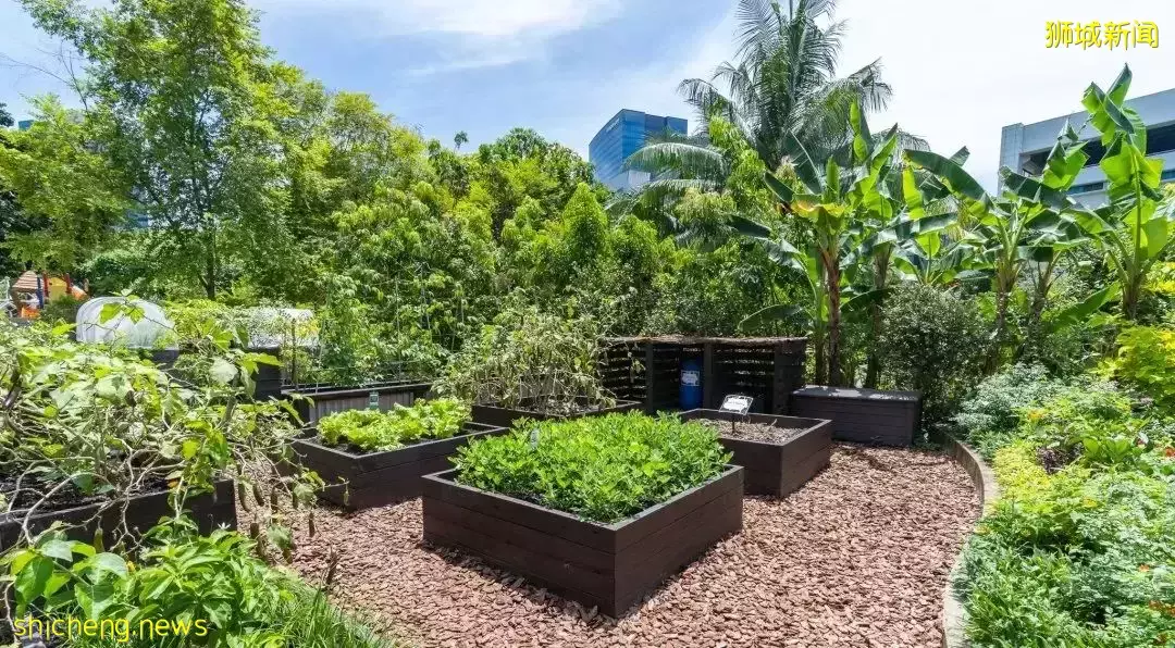 遊玩攻略 新加坡周邊這些特色海島，值得一一去打卡