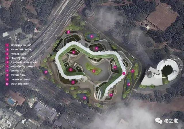 新加坡家庭养老模式的启示