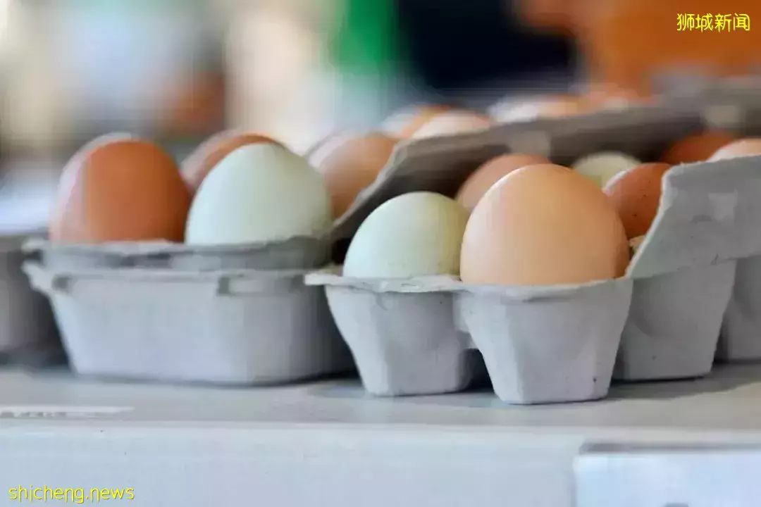 新加坡部分进口蔬菜价格飙涨,马来西亚番茄价格狂涨50%