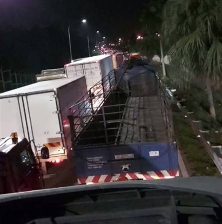 ◤肺炎疫情◢塞！塞！塞！司機入境新 需接受檢測 晚上出發 隔天一早才通關