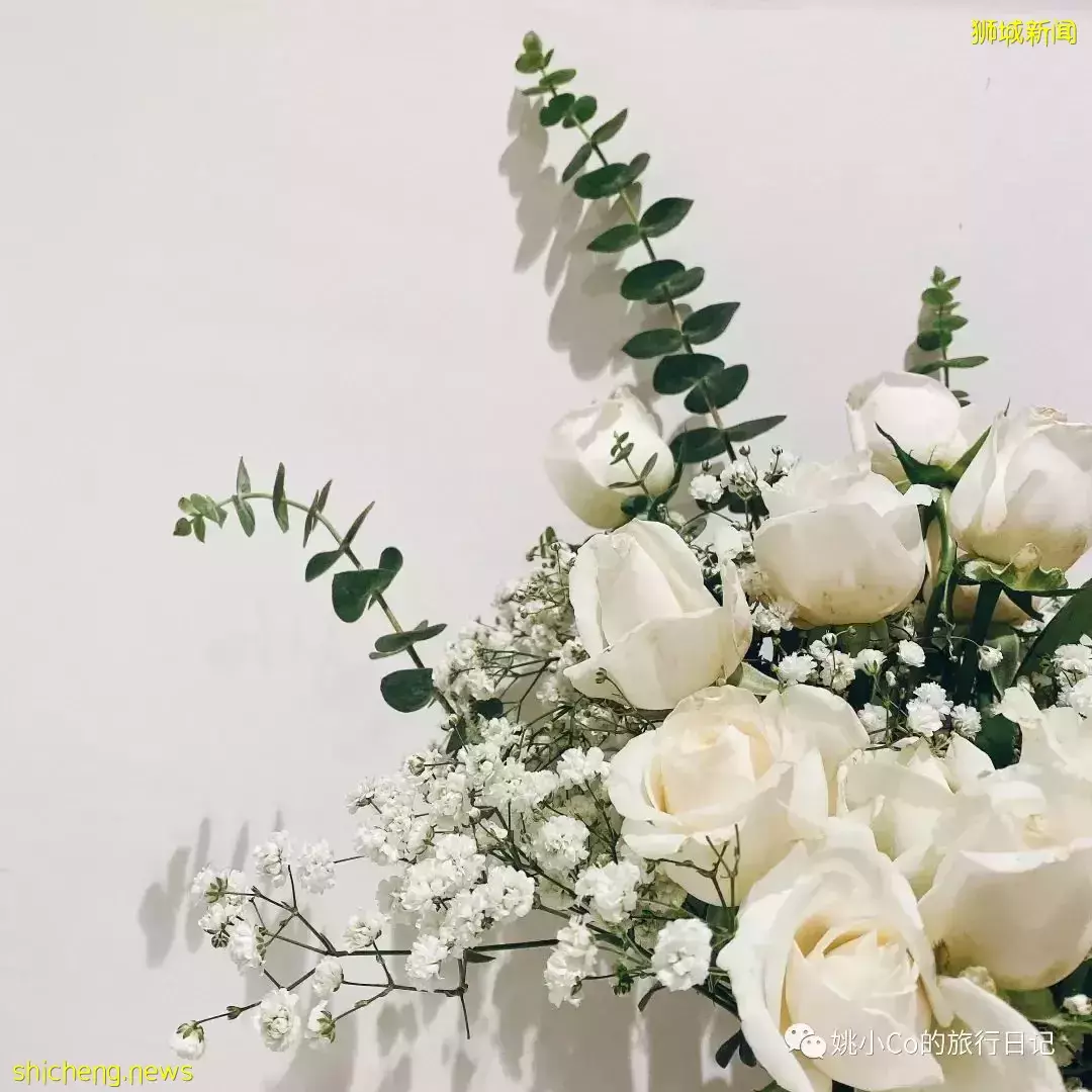 距离上次回国已经568天……在新加坡的你，过得还好吗